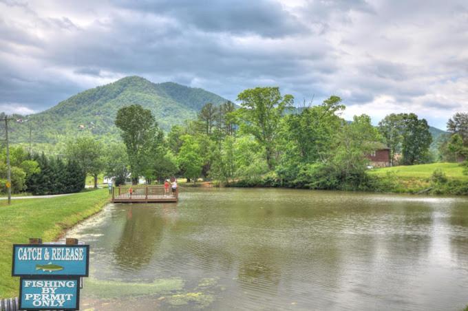 Private Smoky Mountain Luxury Log Home With 2 Fireplaces, Hot Tub & Community Pool Севьервилл Экстерьер фото